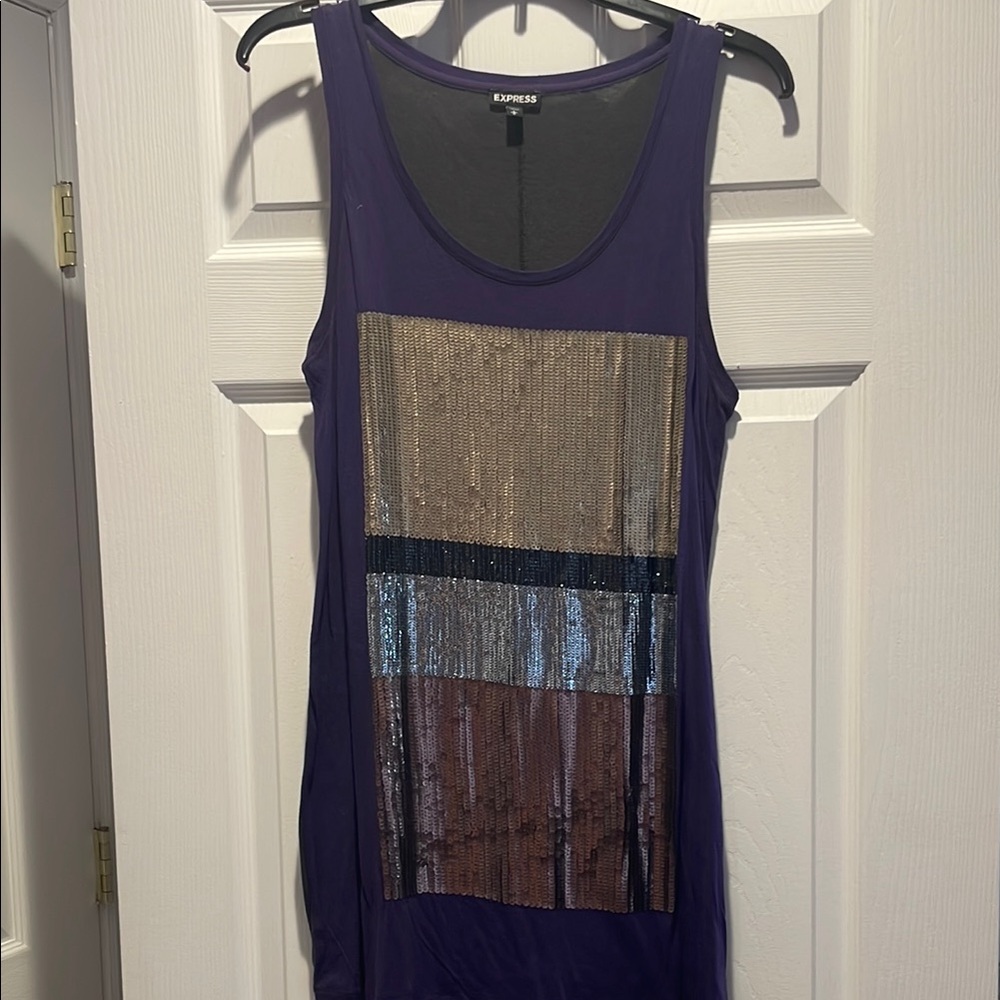 Gently Worn Express Sequin ColorBlock Dress!!